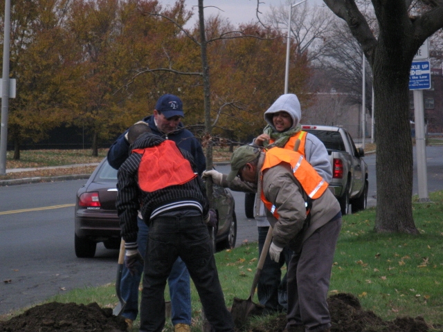 City of Springfield Arbor Day Plantings