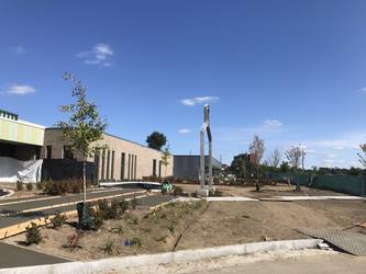 Educare after trees